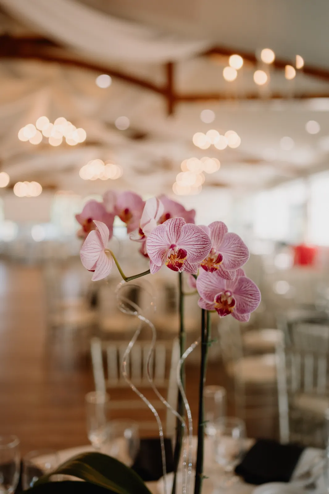 Best 2026 Centerpieces To Incite Conversation - Image 01 (July 20, 2026)